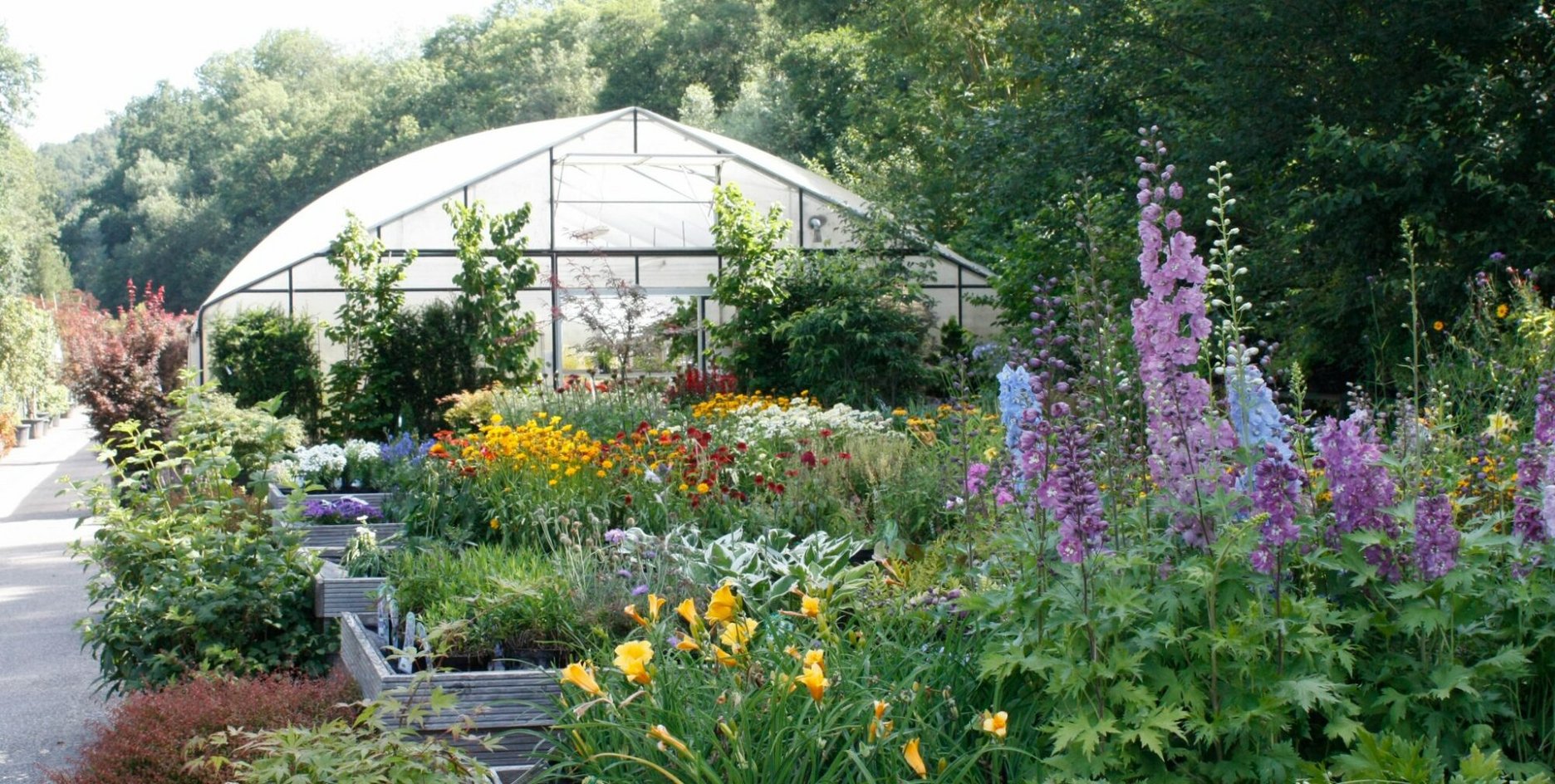 Le Gardencenter à Tandel entouré de parterres de fleurs colorés
