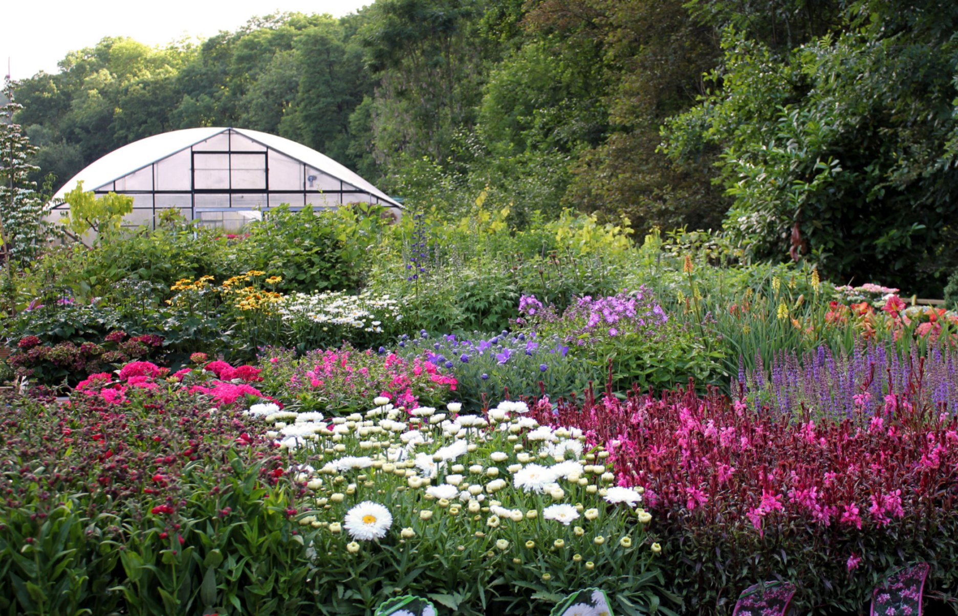 Le Gardencenter à Tandel entouré de parterres de fleurs colorés